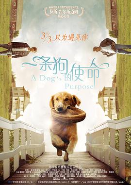 国产一区二区三区免费看